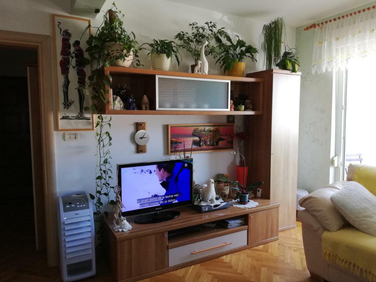 Cuore Di Umago Extérieur photo
